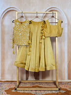 Royal Salsa Crush Lehenga with Embroidered Koti and Sleeveless Blouse