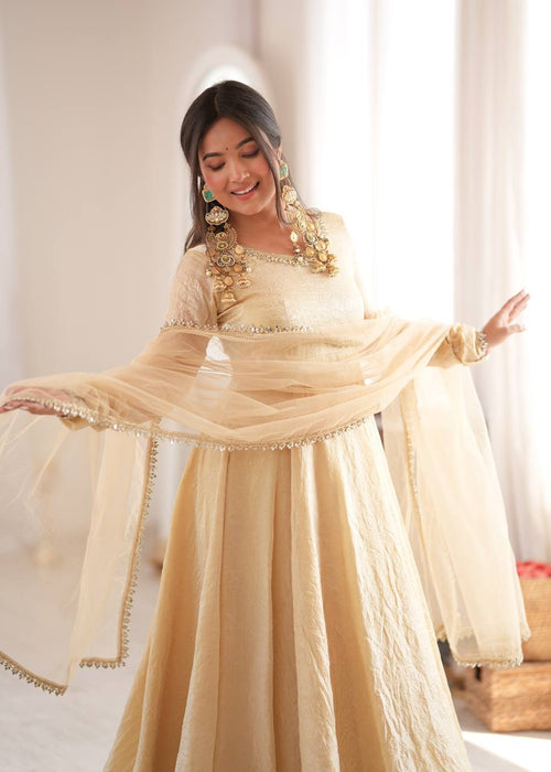 Aarushi Doremon Crush Mirror Work Gown with Pant & Butterfly Net Dupatta Set