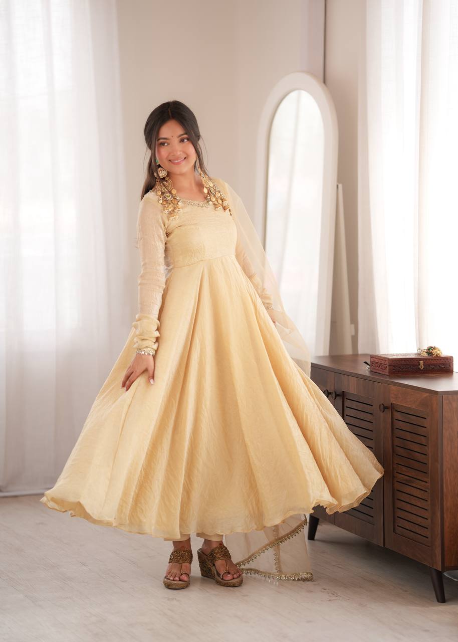 Aarushi Doremon Crush Mirror Work Gown with Pant & Butterfly Net Dupatta Set