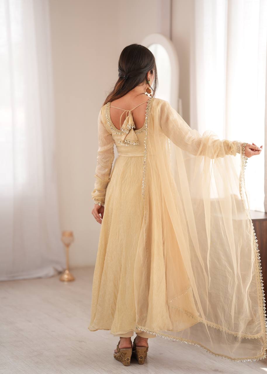Aarushi Doremon Crush Mirror Work Gown with Pant & Butterfly Net Dupatta Set
