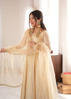 Aarushi Doremon Crush Mirror Work Gown with Pant & Butterfly Net Dupatta Set