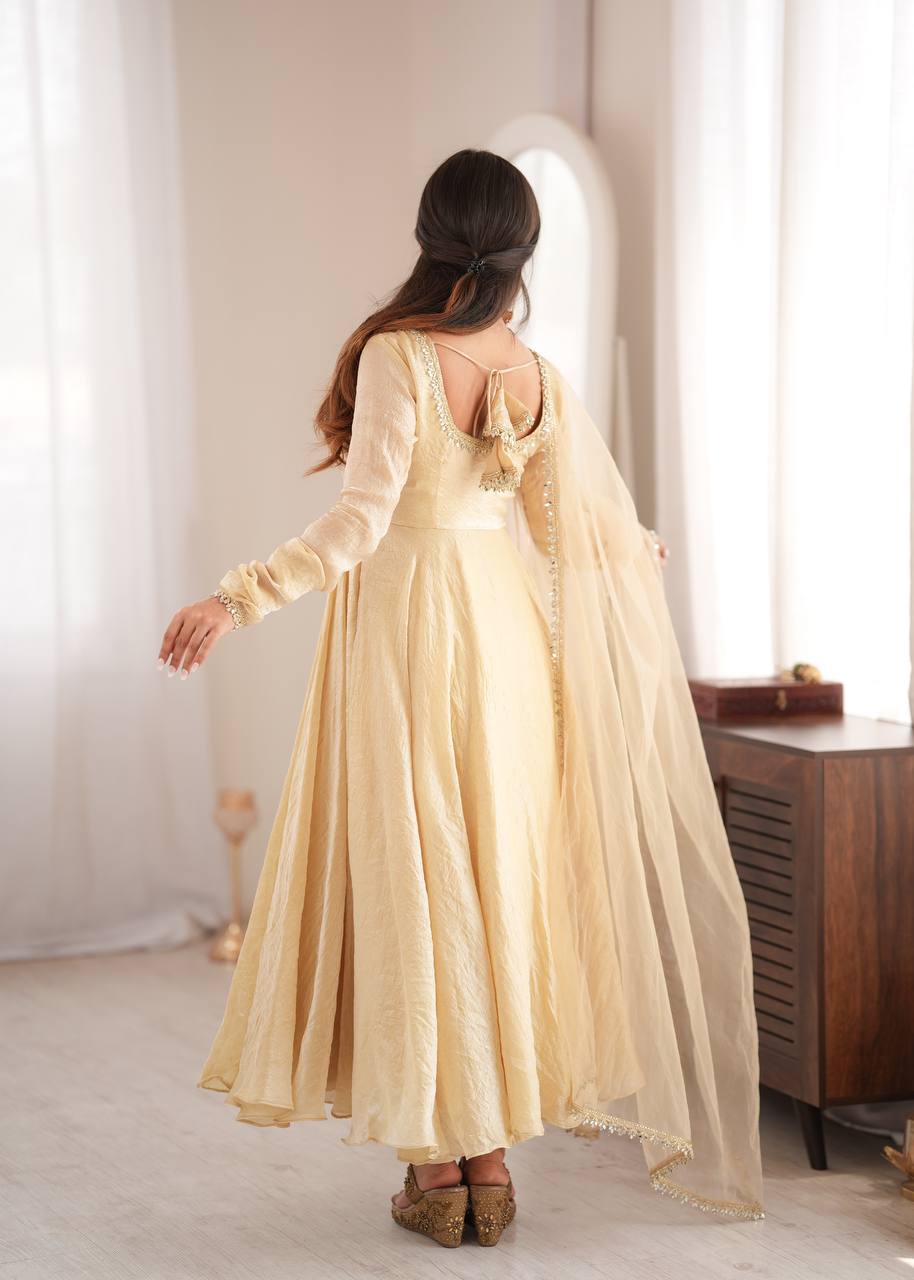 Aarushi Doremon Crush Mirror Work Gown with Pant & Butterfly Net Dupatta Set
