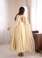 Aarushi Doremon Crush Mirror Work Gown with Pant & Butterfly Net Dupatta Set