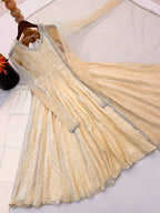Aarushi Doremon Crush Mirror Work Gown with Pant & Butterfly Net Dupatta Set