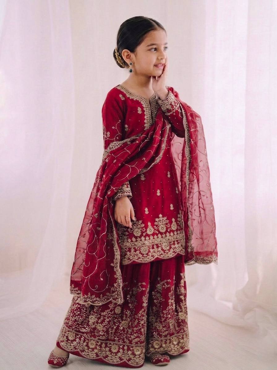 Premium Sequence Work Outfit Crafted for Special Occasions