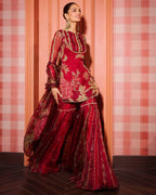 Soft Organza Sharara Set with Real Mirror & Sequence Embroidery Work