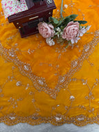 Heerangi Fendy Silk Beads & Sequins Saree with Heavy Work Blouse