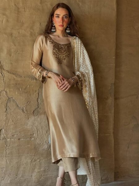 Devsena Silk Straight Fit with Beautiful Sequins & Embroidery Work for Festivals