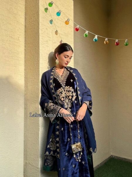 Ethnic Pakistani Style Premium Zari Embroidered Velvet Suit for Weddings