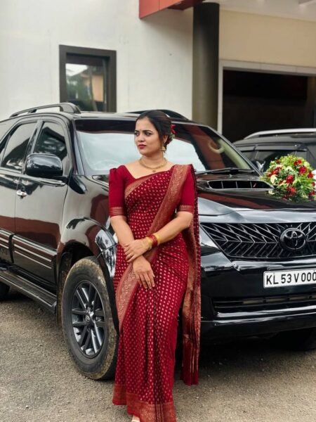 Beautiful Silk Saree & Blouse with Jacquard Weave & Rich Pallu